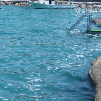 фото из отзыва ID 1763077