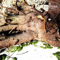 фото из отзыва ID 1763087