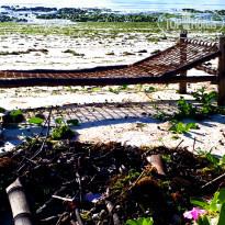 фото из отзыва ID 1763087