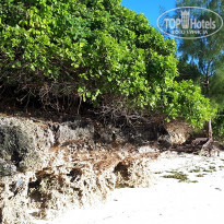 фото из отзыва ID 1763087