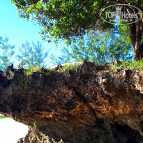 фото из отзыва ID 1763087