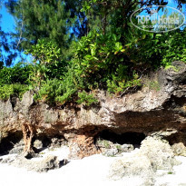 фото из отзыва ID 1763087