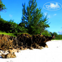 фото из отзыва ID 1763087