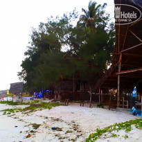 фото из отзыва ID 1763087