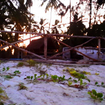 фото из отзыва ID 1763087