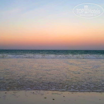 фото из отзыва ID 1763087