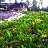 фото из отзыва ID 1763087