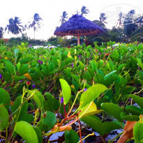 фото из отзыва ID 1763087