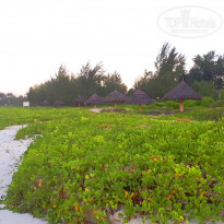 фото из отзыва ID 1763087