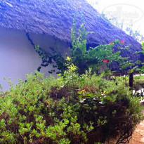 фото из отзыва ID 1763087