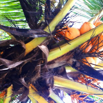 фото из отзыва ID 1763087