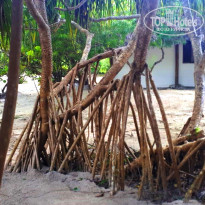 фото из отзыва ID 1763087