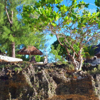 фото из отзыва ID 1763087