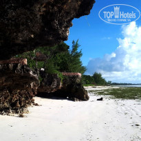 фото из отзыва ID 1763087