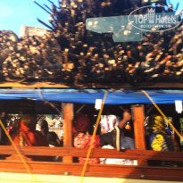 фото из отзыва ID 1763087