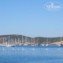 фото из отзыва ID 1763215