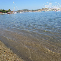 фото из отзыва ID 1763215