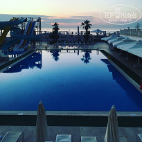 фото из отзыва ID 1763239