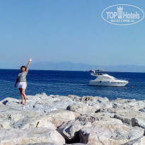 фото из отзыва ID 1763255