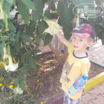 фото из отзыва ID 1763287