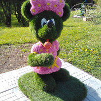 фото из отзыва ID 1763415