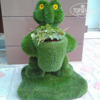 фото из отзыва ID 1763415