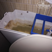 фото из отзыва ID 1763458