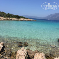 фото из отзыва ID 1763667