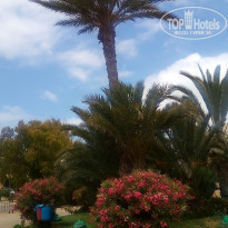 фото из отзыва ID 1763737