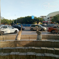 фото из отзыва ID 1763746