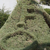 фото из отзыва ID 1763753