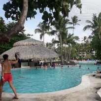 фото из отзыва ID 1763890