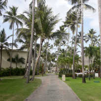 фото из отзыва ID 1763890