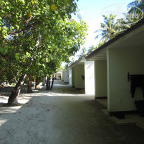 фото из отзыва ID 1763922