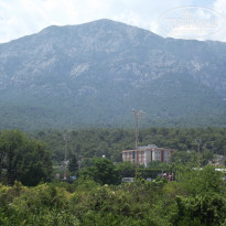 фото из отзыва ID 1764021