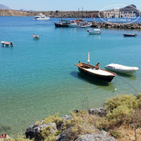 фото из отзыва ID 1764076