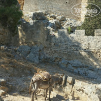 фото из отзыва ID 1764076