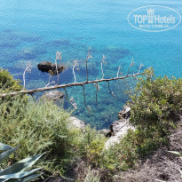 фото из отзыва ID 1764076