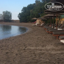 фото из отзыва ID 1764117