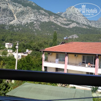 фото из отзыва ID 1764176