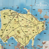 фото из отзыва ID 1764204