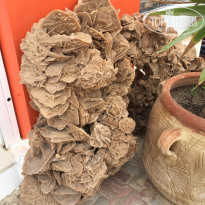 фото из отзыва ID 1764204