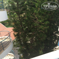 фото из отзыва ID 1764787