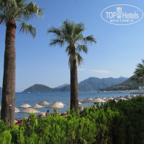 фото из отзыва ID 1764979