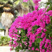 фото из отзыва ID 1764979