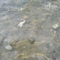 фото из отзыва ID 1765035