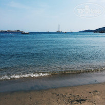 фото из отзыва ID 1765123