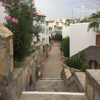 фото из отзыва ID 1765123