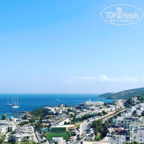 фото из отзыва ID 1765123