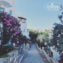 фото из отзыва ID 1765123